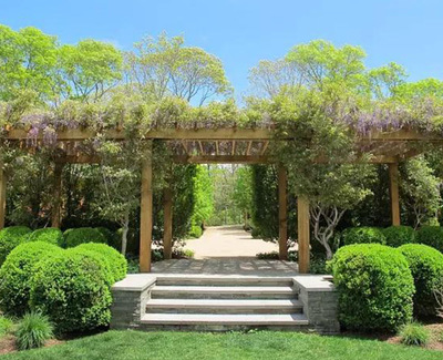 安慶園林綠化 專業(yè)省心的園林綠化建設(shè)與工程